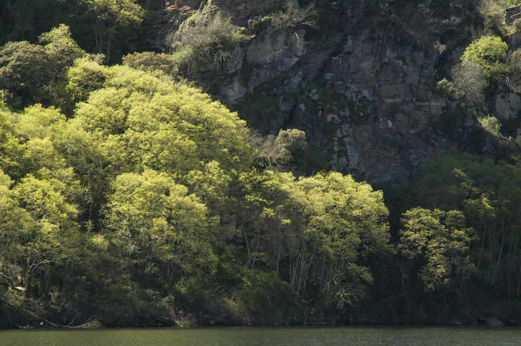 La Casa De Los Arribes Fornillos de Fermoselle ภายนอก รูปภาพ