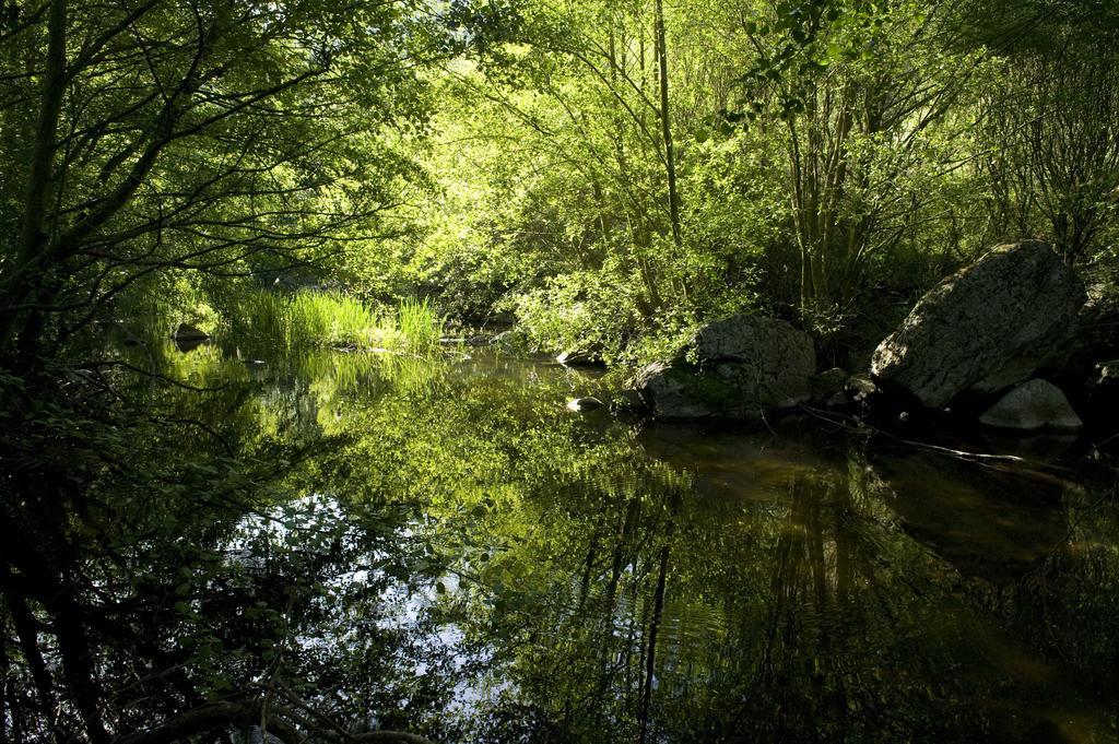 La Casa De Los Arribes Fornillos de Fermoselle ภายนอก รูปภาพ